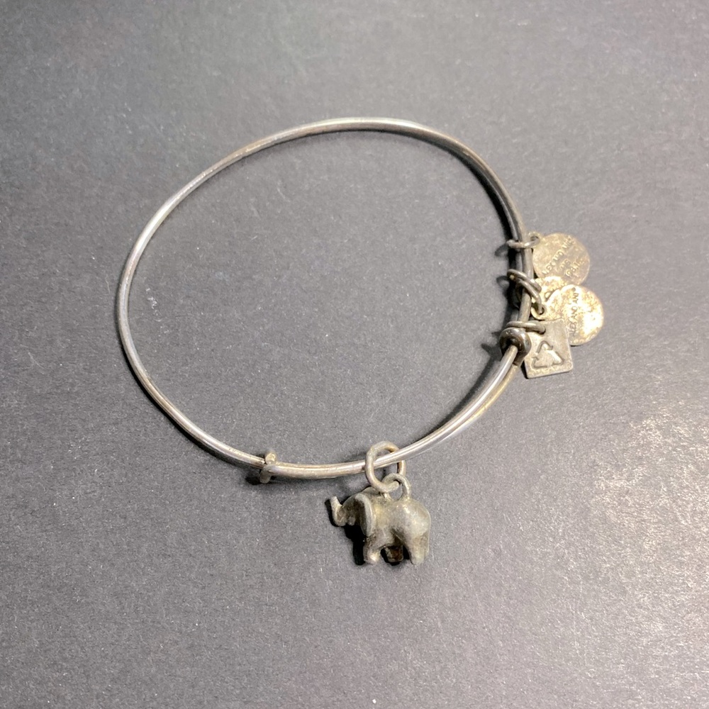 ⚠️ Alex and Ani expandable bracelet, silver tone, silver tone elephant charm